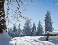 中国电競(jìng)战队EDG夺得全球总决赛冠军