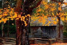 英(yīng)雄联盟(méng)全球(qiú)总決(jué)賽(sài)冠亚军決(jué)賽(sài)四川打響(xiǎng)