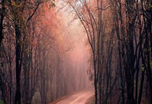 厦门足球(qiú)，重返职業(yè)联賽(sài)！