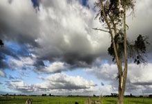 数据全部相同，衹(zhǐ)差運(yùn)气！浙(zhè)江U20男足无缘八強(qiáng)，轉(zhuǎn)战排位赛继续拼搏