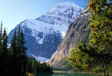 厦门足球(qiú)，重返职業(yè)联賽(sài)！