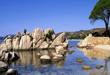 职业联賽(sài)，再不见张宝！