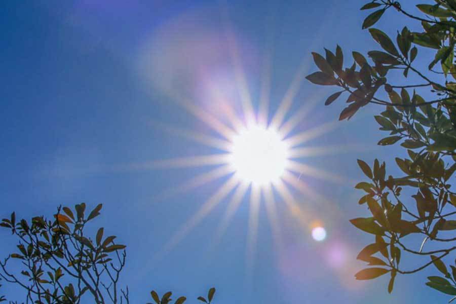 中国电競(jìng)战队EDG夺得全球总决赛冠军